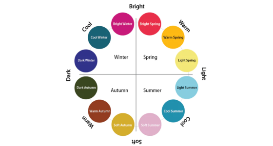 The Cheapest Seasonal Color Analysis: All You Need is Better Lighting!