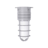 LED Vapor Tight Jelly Jar, Ceiling Mount, 14W, 900 Lumens