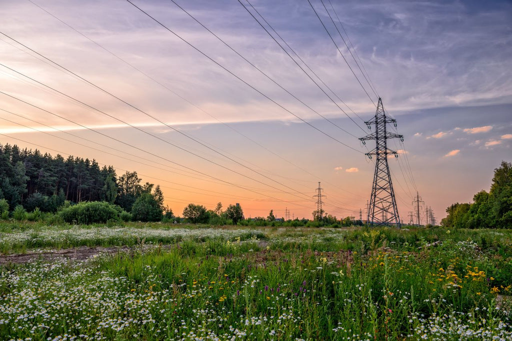 Power Lines are Moving Underground—How this Impacts You