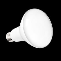 Recessed LED Bulbs