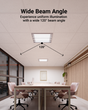 Widespread illumination is perfect for various indoor applications, such as office buildings, schools, hallways, and more.