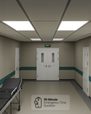 Designed to deliver bright, efficient illumination during normal use—and automatic backup power when it matters most. This low-profile fixture fits standard ceilings and is perfect for commercial, educational, and institutional settings.