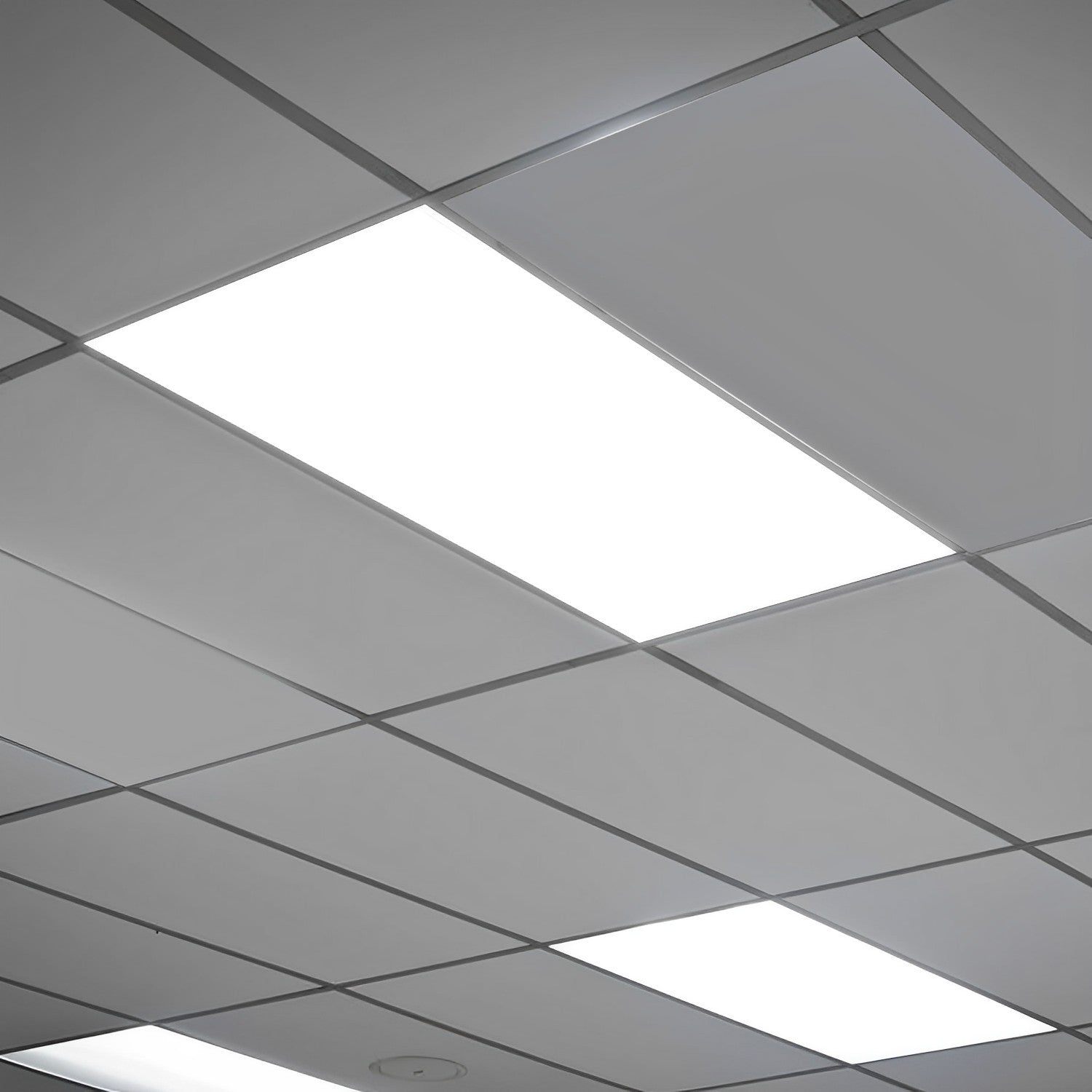 2x4 led panel surface mount best sale