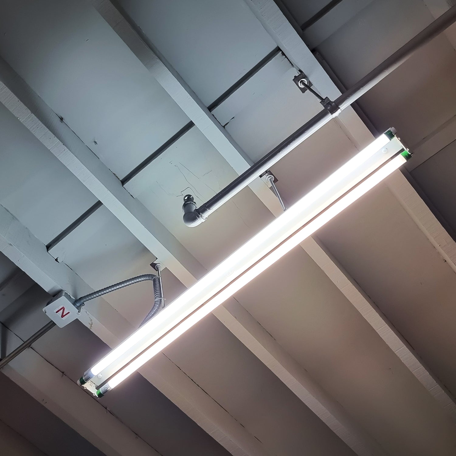 4ft T8 LED Ready Strip Light Fixture, White, Double-Lamp, Non-Shunted ...