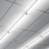 4ft T8 LED Ready Strip Light Fixture, Single-Lamp, Non-Shunted, Single/Double Ended