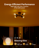 LED all the way! Lower your energy consumption instantly (up to 85%) by converting to LED.