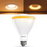 BR30 LED Bulb, Night Light, 800 Lumens