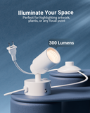 Ideal for various indoor areas and scenes such as living rooms, dining areas, dens, bedrooms, potted plants, artwork, collections, and more.