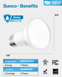 BR20 LED Bulb, 550 Lumens