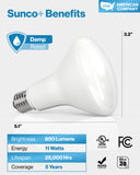 BR30 LED Bulb, 850 Lumens