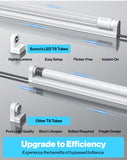 T8 LED Tube, 4ft, Clear, Bypass, Type B, 18W, 2200 Lumens