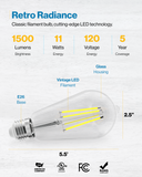 Ultra-Bright ST64 LED Bulb, Filament, 1500 Lumens