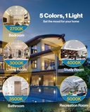 Recessed LED Retrofit Lighting, 5/6 Inch, Gimbal, Selectable CCT, 800 Lumens (Off White Trim)