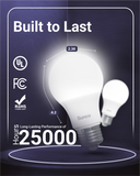 A19 LED Bulb, 3W, 250 Lumens