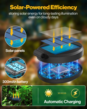 A rechargeable battery stores the energy for this sun-powered light fixture during the day, detects light levels, and turns on the LED for hours of nighttime light.