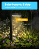 Sunco Lighting LED Solar Sidewalk Light Increased Visibility & Safety in Driveways, Gardens, Pathways, Backyards
