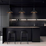 13 3/4" Black Cone LED Mini Pendant Light, P209D Series
