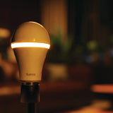 A19 LED Bulb, Night Light, 800 Lumens