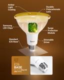 Our PAR38 LED bulbs feature instant start up with no warmup and no buzzing or flickering for maximum eye comfort.