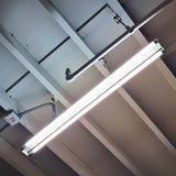 T8 LED Tube, 4 Ft, Frosted, Plug & Play, Type A, 14W, 2200 Lumens