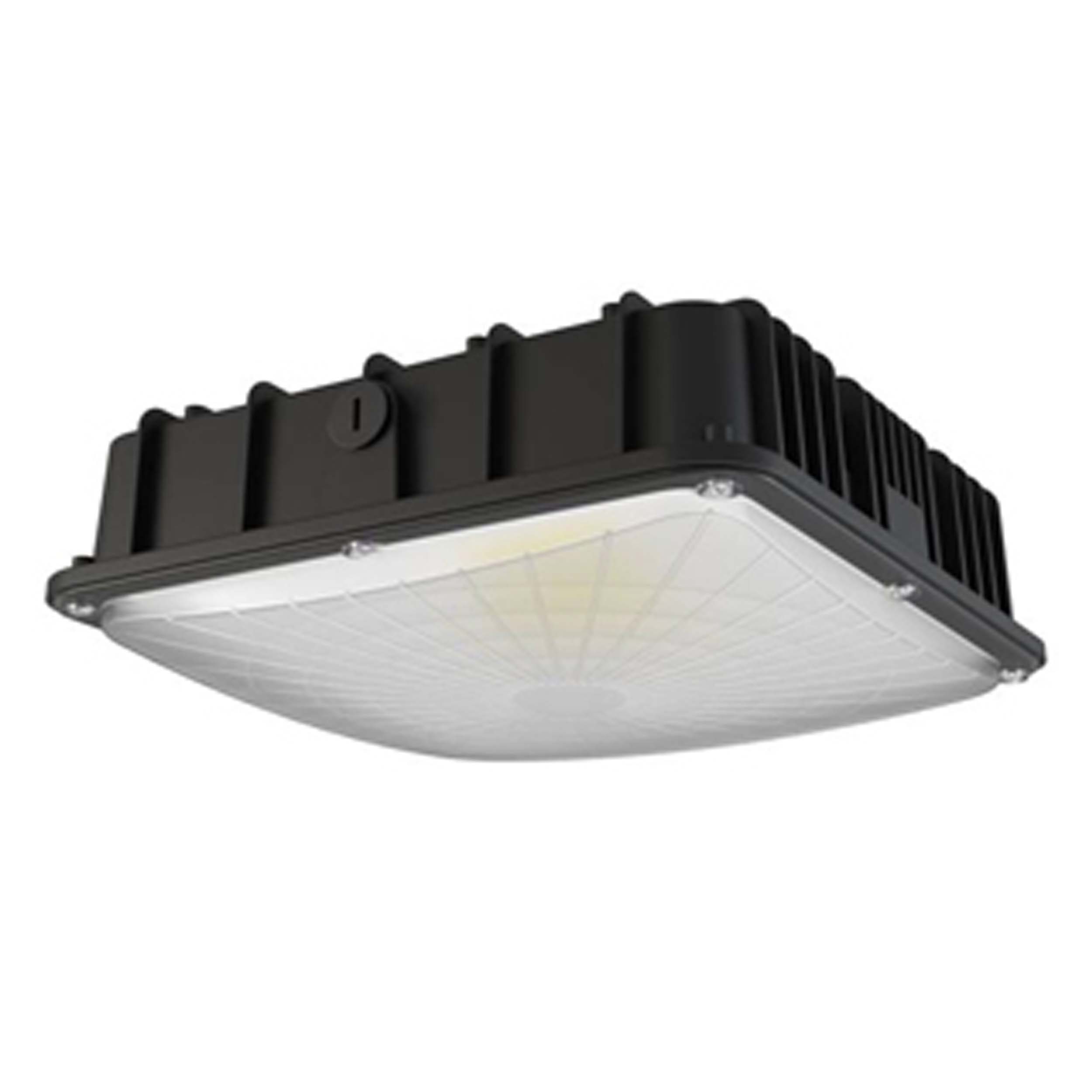 LED Canopy Lighting Fixture for Outdoor or Indoor Usage