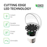 A19 3W LED Bulb, 250 Lumens