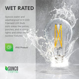 A19 LED Bulb, Filament, Dusk to Dawn, 9W, 850 Lumens