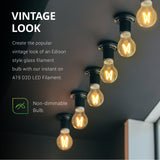 Vintage Look. Create the popular vintage look of an Edison style glass filament bulb with our instant on A19 D2D LED Filament. This is a non-dimmable bulb with an amber glow. Image shows bulbs in sockets on a ceiling of a display window. Great for adding retro styling to your commercial location.
