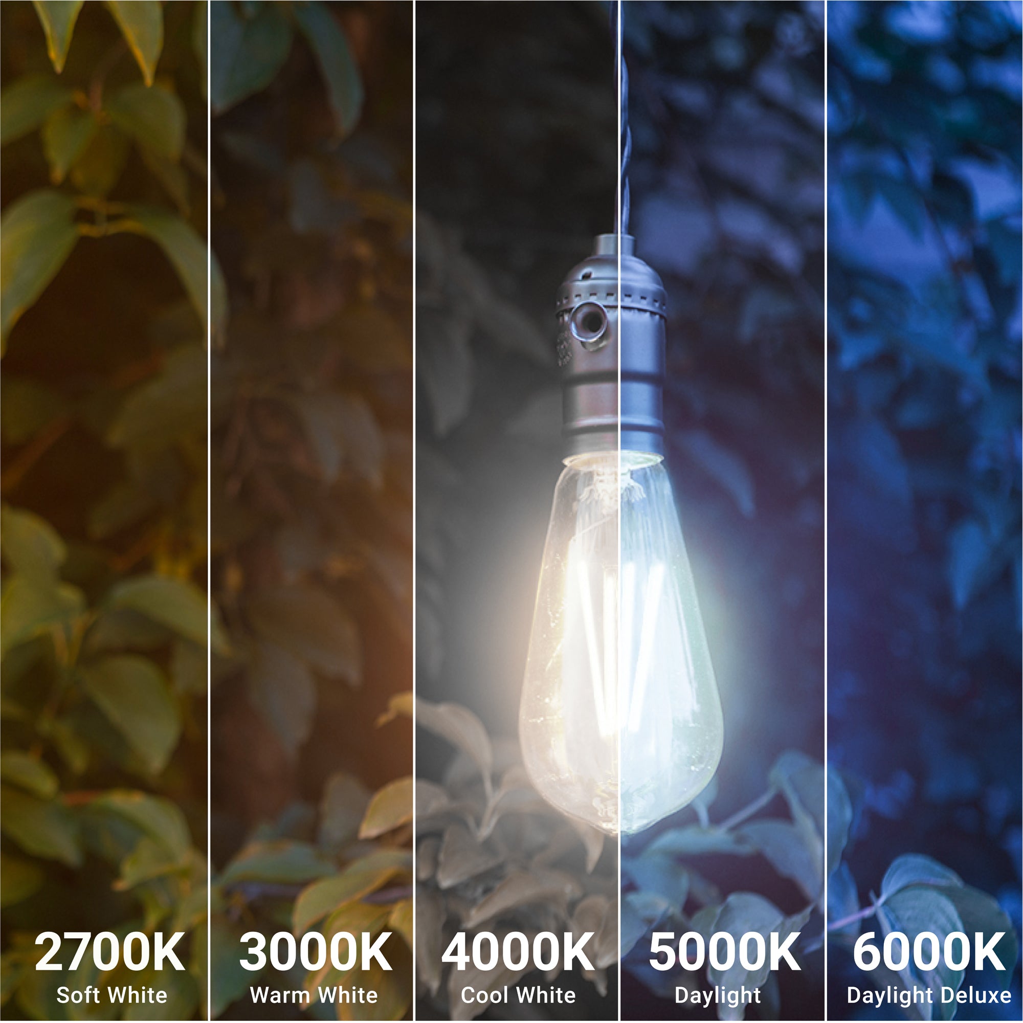 St64 Guide Light ST64 Filament Dusk to Dawn LED Bulbs | LED LIGHTING | SUNCO – Sunco ...