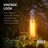 Vintage Look. Create the popular vintage look of an Edison style glass filament bulb with our instant on T10 LED Filament with Dusk to Dawn. This dimmable bulb looks great when hung in pendant lamp fixtures like shown here. You can dim the light bulb to adjust the mood and reduce the brightness from 10% to 100%. This is a non-dimmable bulb for outdoor use.