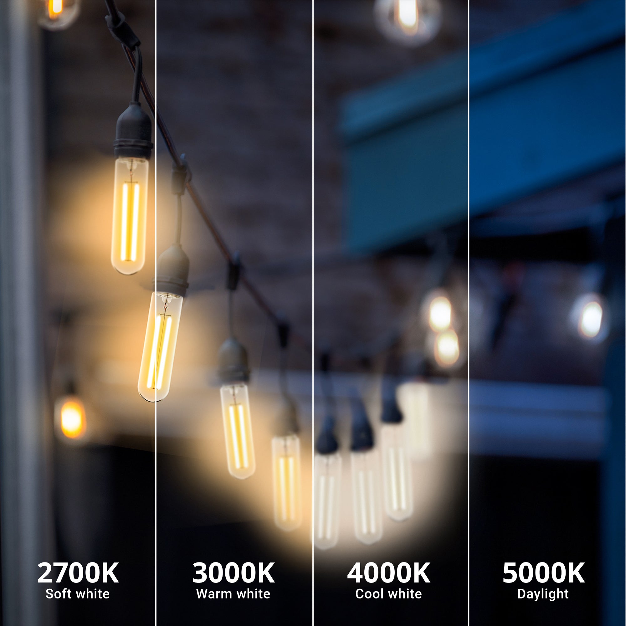 T10 warm white led store